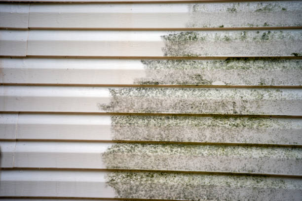 Affordable siding repair and maintenance services in Glendale, MO