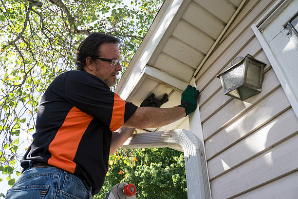 Custom Trim and Detailing for Siding in Glendale, MO